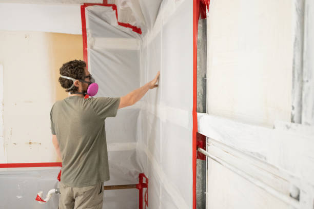  Minnetrista, MN Mold Removal Pros