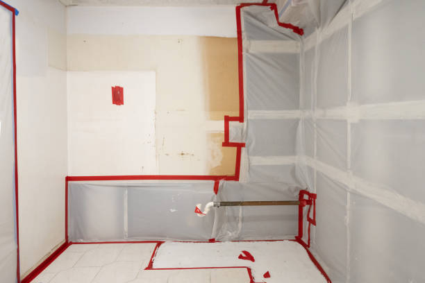 Professional Mold Removal in Minnetrista, MN