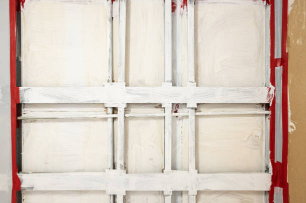 Best Comprehensive Air Testing for Mold Contaminants  in Minnetrista, MN
