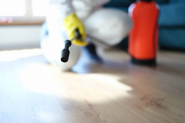 Mold Documentation for Insurance Claims in Minnetrista, MN