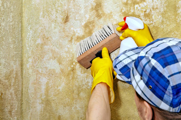 Best Indoor Air Quality Assessment  in Minnetrista, MN