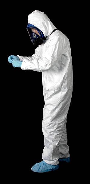 Best Attic Mold Removal  in Minnetrista, MN