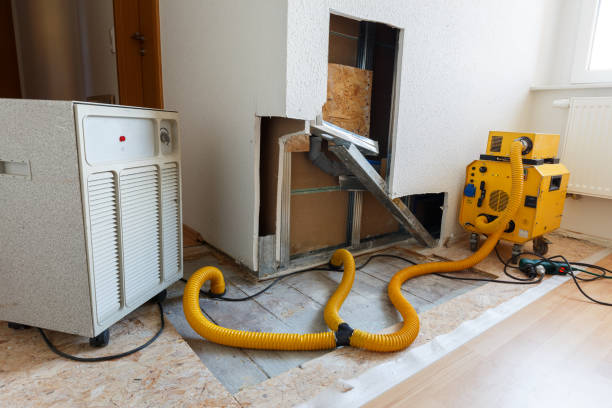 Best Commercial Mold Inspection  in Minnetrista, MN